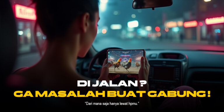 Kenali Ayam Bangkok, Raja Sabung Ayam Online SV388