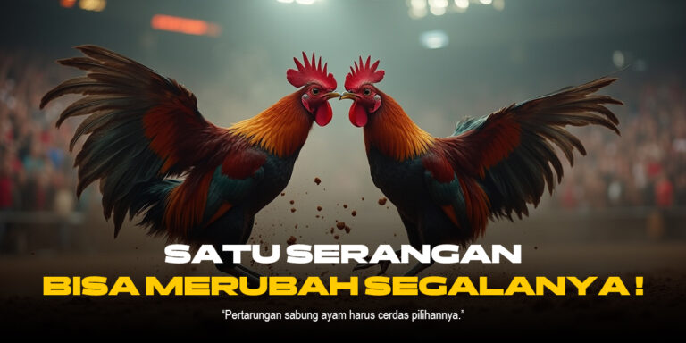 Petualangan Taruhan Sabung Ayam SV388: Kenali Jenis Ayam Aduan Favorit