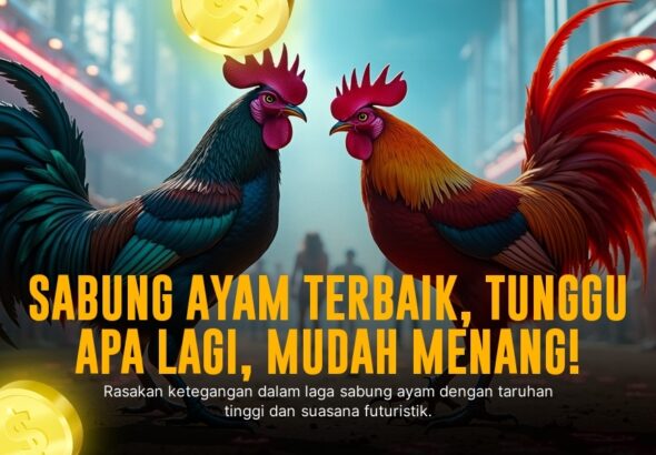 Rahasia Jenis Ayam Bangkok di Sabung Ayam SV388