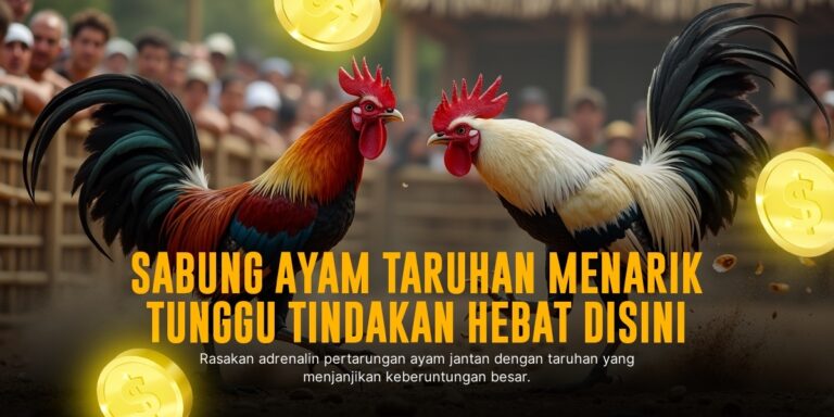 Strategi Menang Sabung Ayam SV388 yang Wajib Diketahui