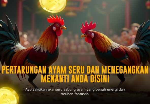 Keunggulan Ayam Bangkok Dalam Sabung Ayam Online SV388