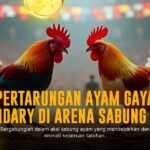 Tantangan dan Keunikan Ayam Bangkok dalam Sabung Ayam SV388